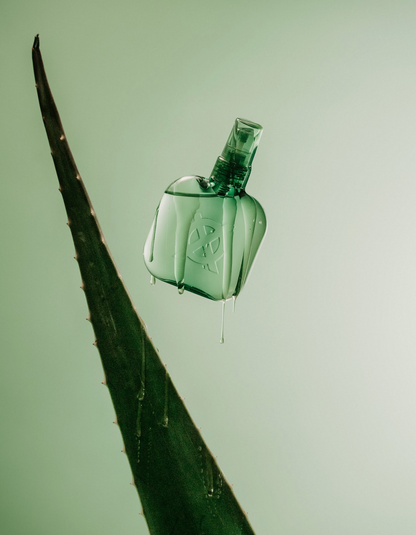 Agave Nectar Flavored Personal Lubricant